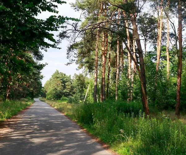 Apartament U Koziolka